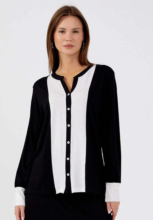 The Elegant Draped V-Neck Blouse
